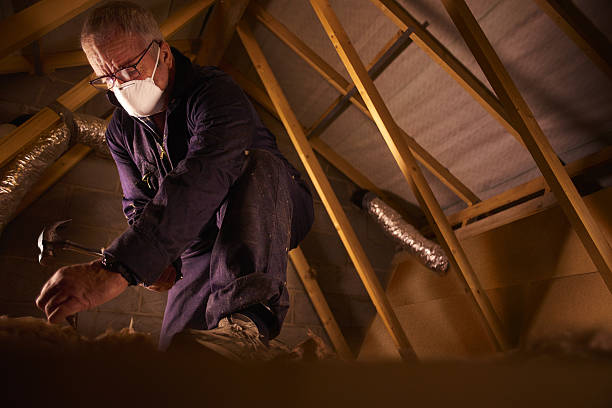 Best Residential Insulation Services  in Derma, MS